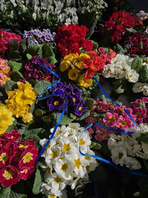 Blumen